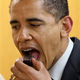 Illustration for article titled President-Elect Obama: The Partly Salty Patriot